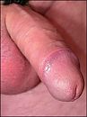 niet zo mooi,.., foto 968x1288, 5 reacties, 13 stemmen