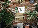 nu in de tuin 2, foto 4000x3000, 7 reacties, 36 stemmen