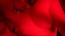 oh, foto 1280x720, 7 reacties, 63 stemmen