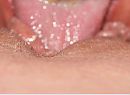 ook lekker, foto 530x388, 46 reacties, 167 stemmen