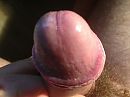 penis, foto 1632x1224, 2 reacties, 3 stemmen