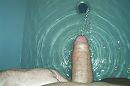 pis, foto 1000x670, 1 reacties, 1 stemmen