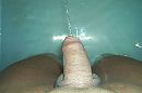 pis, foto 1000x670, 0 reacties, 1 stemmen