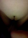 poes, foto 1536x2048, 10 reacties, 60 stemmen