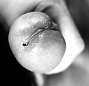 pre cum, foto 1218x1177, 6 reacties, 16 stemmen