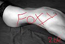 pre foxy reportage, foto 604x410, 2 reacties, 9 stemmen