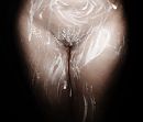 probeerseltje, foto 1348x1152, 4 reacties, 47 stemmen