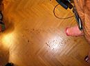 riem van vriendin, foto 2592x1936, 0 reacties, 1 stemmen