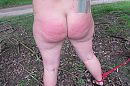rode billen, foto 2816x1880, 9 reacties, 71 stemmen