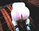 rode wangetjes, foto 200x160, 0 reacties, 4 stemmen