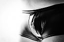 shiny shorts, foto 1259x838, 1 reacties, 7 stemmen