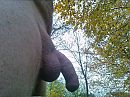 slapjes in het bos, foto 2592x1944, 4 reacties, 16 stemmen
