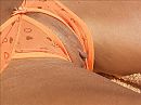 slip met flappie, foto 640x480, 2 reacties, 9 stemmen