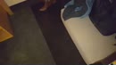 spelen met de clit, film 00:00:23, 12 reacties, 164 stemmen