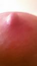tepel, foto 720x1280, 48 reacties, 129 stemmen