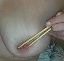 tepeltjeklem, foto 1826x1749, 2 reacties, 9 stemmen
