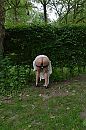 tja... 3, foto 2659x4000, 25 reacties, 95 stemmen