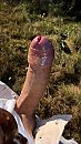 toch nog ff mooi weer voor mmm, foto 2160x3840, 3 reacties, 2 stemmen