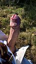 toch nog ff mooi weer voor mmm, foto 2160x3840, 1 reacties, 2 stemmen