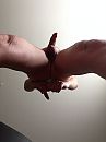 up, foto 960x1280, 6 reacties, 19 stemmen