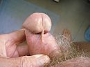 van onderen, foto 2048x1536, 4 reacties, 5 stemmen