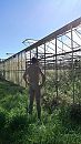 verlaten kassen, foto 1440x2560, 3 reacties, 6 stemmen