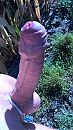 volgende zomer graag pikvriend, foto 1728x3072, 0 reacties, 7 stemmen