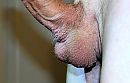volle, foto 2800x1808, 2 reacties, 1 stemmen