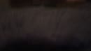 voor mazda!!, film 00:00:00, 0 reacties, 6 stemmen