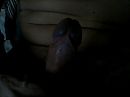 lieve An!!!, foto 640x480, 3 reacties, 7 stemmen
