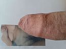 voor Mariek1985, foto 2560x1920, 0 reacties, 2 stemmen