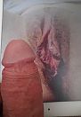 voor Stefanie, foto 1125x1600, 0 reacties, 3 stemmen