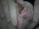 voor Tono!!!!!, foto 1600x1200, 0 reacties, 1 stemmen