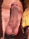 wakker!, foto 960x1280, 1 reacties, 3 stemmen