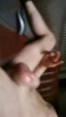 Tigerlover pijpt me dacht ik, film 00:00:00, 2 reacties, 9 stemmen