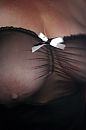 wazig 2, foto 1728x2592, 23 reacties, 95 stemmen