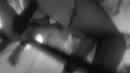 we willen spuitfotos, film 00:00:21, 14 reacties, 154 stemmen