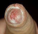 wetst, foto 3366x3024, 0 reacties, 8 stemmen