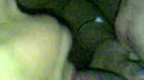 whoww, film 00:00:29, 5 reacties, 40 stemmen