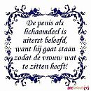 wijsheid, foto 500x500, 3 reacties, 7 stemmen