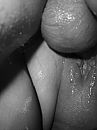 woefwoef, foto 591x787, 4 reacties, 17 stemmen