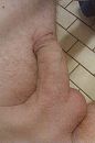 x, foto 1728x2592, 0 reacties, 2 stemmen