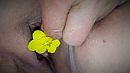 xxx, foto 3264x1836, 1 reacties, 10 stemmen