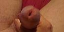 x.x.x, foto 550x276, 1 reacties, 1 stemmen