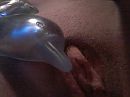 xxxxxxxx, foto 1600x1200, 9 reacties, 100 stemmen