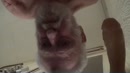 xxxxxxxxxxxxxxxxxxxxxxxxxxxxxx, film 00:00:00, 0 reacties, 5 stemmen