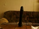 xxxxxxxxxxxxxxxxxxxxxxxxxxxxxx, film 00:00:00, 4 reacties, 3 stemmen