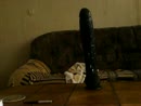 xxxxxxxxxxxxxxxxxxxxxxxxxxxxxx, film 00:00:00, 1 reacties, 2 stemmen
