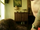 xxxxxxxxxxxxxxxxxxxxxxxxxxxxxx, film 00:00:27, 2 reacties, 2 stemmen