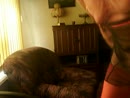 xxxxxxxxxxxxxxxxxxxxxxxxxxxxxx, film 00:00:24, 0 reacties, 1 stemmen